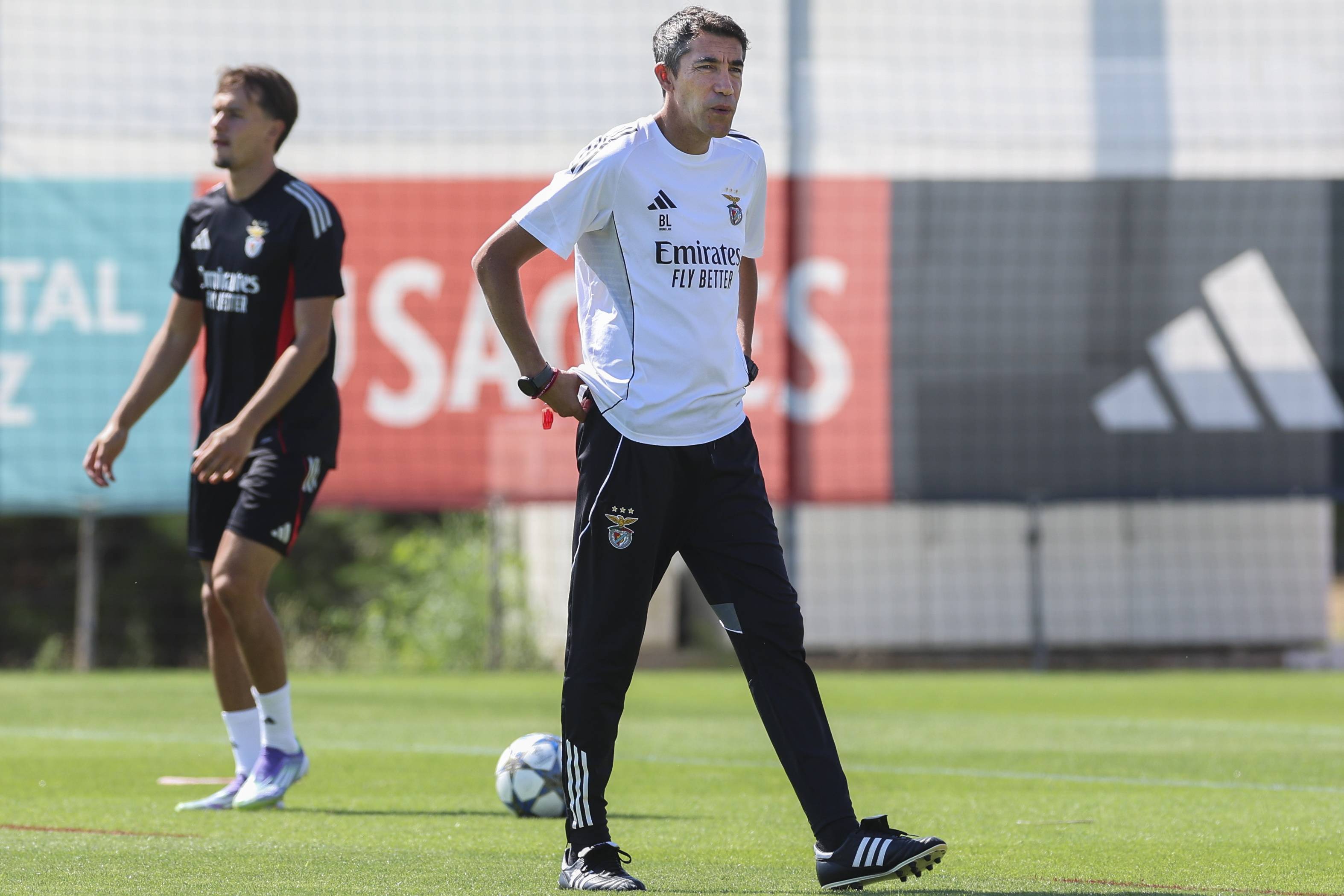 （外代二线）足球——欧冠联赛：本菲卡赛前备战