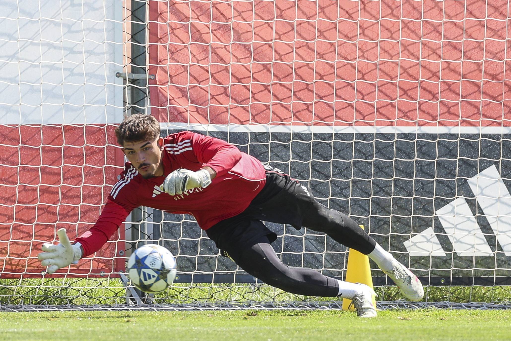 （外代二线）足球——欧冠联赛：本菲卡赛前备战