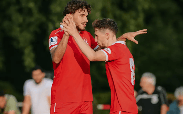 德甲:霍芬海姆表现跳跃,海登海默状态尴尬